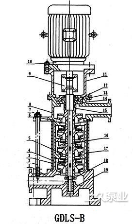 GDL型立式多級管道離心泵結(jié)構(gòu)圖